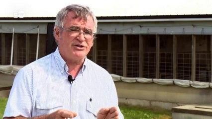 US-Farmer hoffen auf Freihandel mit Europa | Wirtschaft kompakt