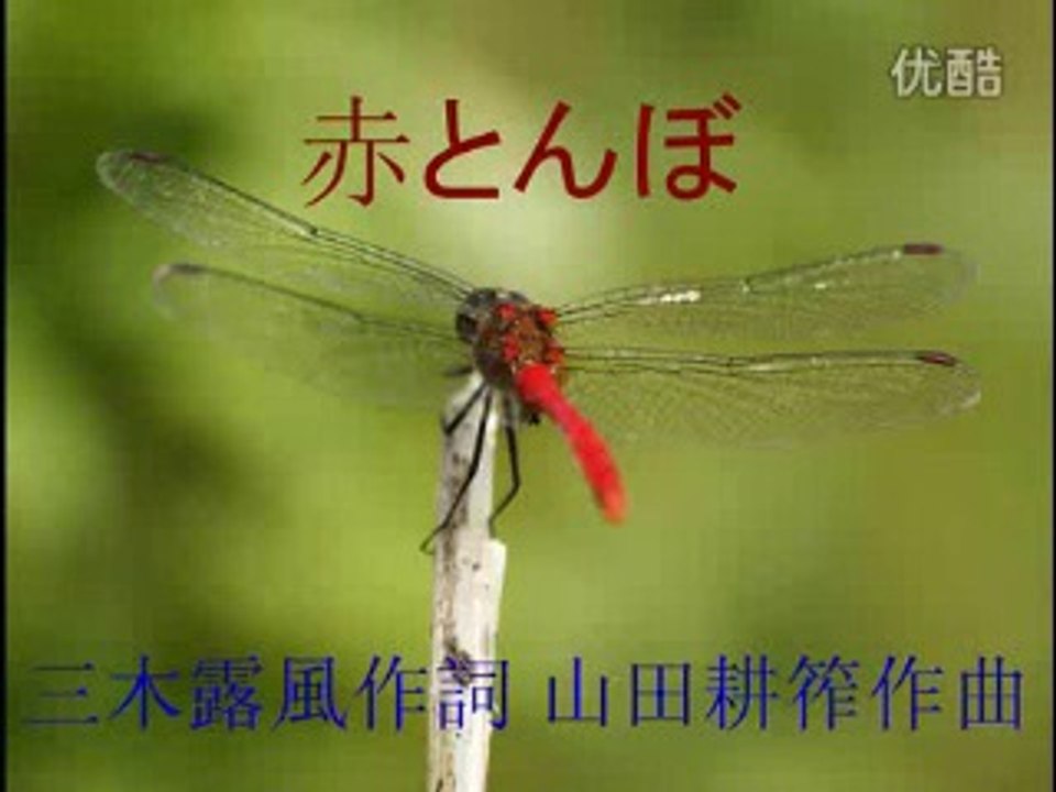 芹洋子「心に歌のともしびを ～抒情歌名曲のすべて～ 」(3) 赤とんぼ