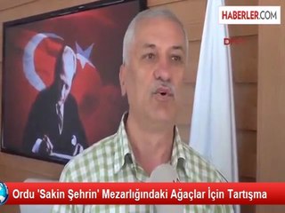 Ordu 'Sakin Şehrin' Mezarlığındaki Ağaçlar İçin Tartışma