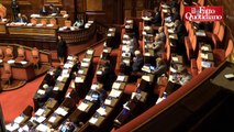 Senato, Grillo fa da spettatore in un'Aula mezza vuota - Il Fatto Quotidiano