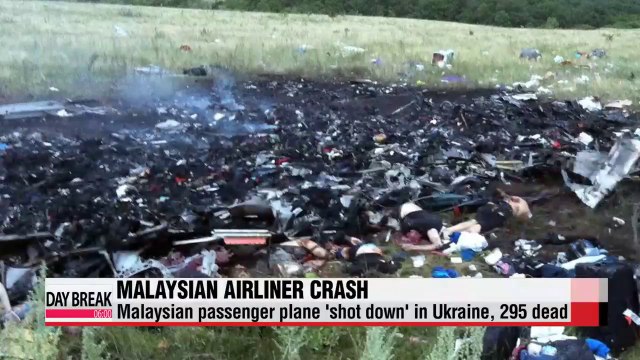 Malaysian passenger plane 'shot down' in Ukraine, 295 dead
