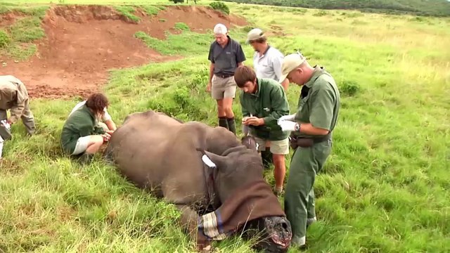 Surf - J-Bay Open: Kelly Slater, entre rinocerontes