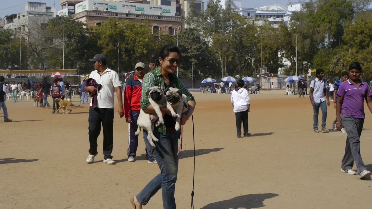 Dog Show 2014, Ahmedabad, India