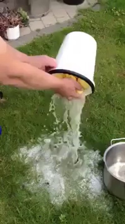 Dünyanın en hızlı patates soyan adamı