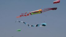 International Kites Festival 2014, Ahmedabad, India