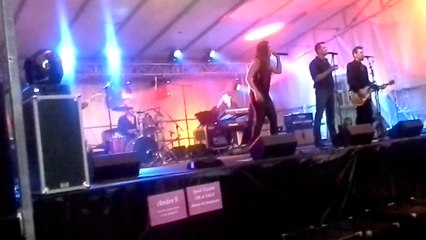premiere partie du concert du groupe ambre a EPERNAY