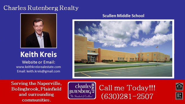 Realtor in Ashwood Park subdivision Naperville Illinois 60564