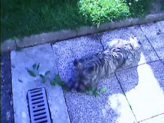 Babylone et Jaudy à 18h dehors