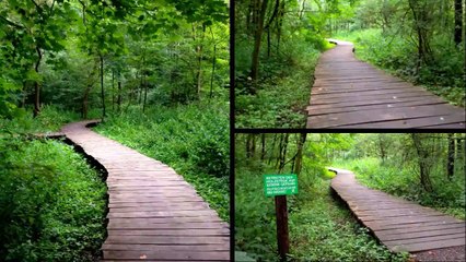 Radsiekbach Lemgo - www.lipperland.de