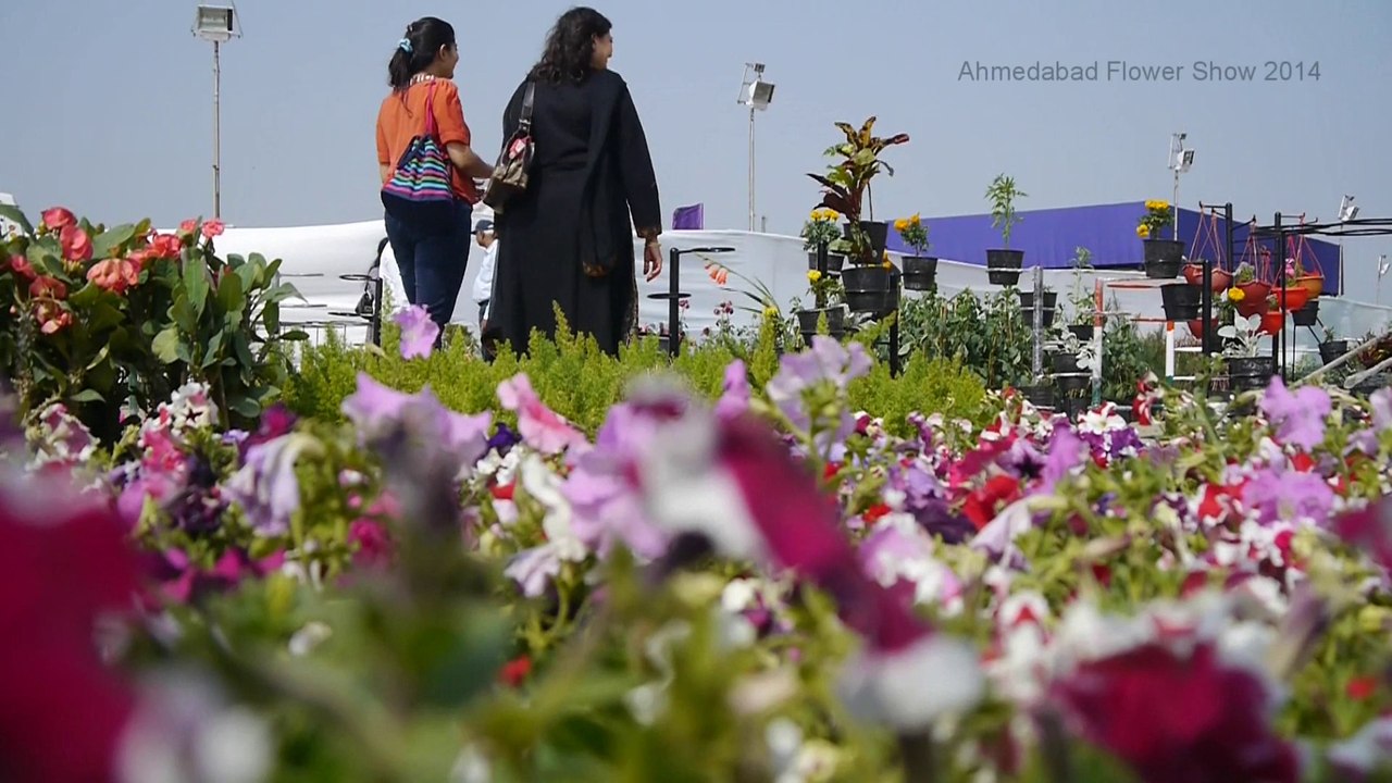 Ahmedabad Flower Show 2014, India