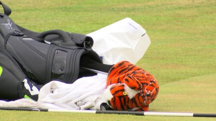 Tiger aims to roar once more