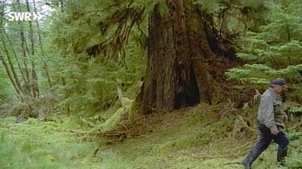 Sch?tze der Welt E091 - Anthony Island, Kanada