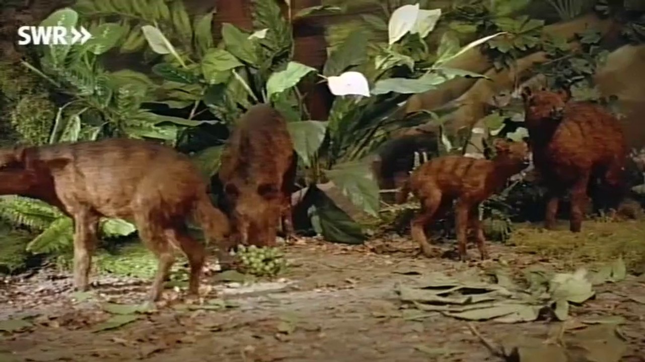 Sch?tze der Welt E095 - Die Grube Messel, Deutschland