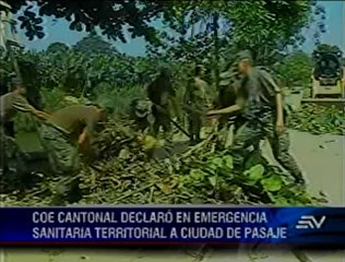 228 casos de dengue provocan declaratoria de emergencia en Pasaje