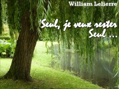 William Lelierre - Seul, je veux rester seul...
