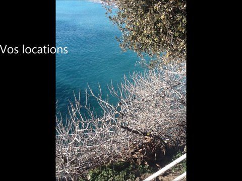 Driss Webmaster : Partenaire du projet Petfood-Score de Pacta Petfood - Informatique Cannes