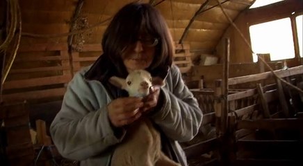 Bande-annonce : Mouton 2.0 - La puce à l'oreille - VF