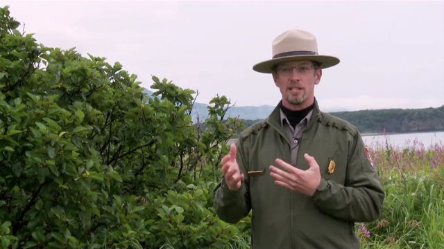 Grizzly - Interview Roy Wood VO