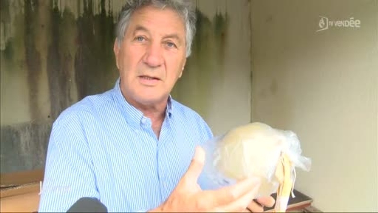 Feux d’artifice : Jacques Couturier prépare le 14 juillet