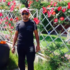 haye o rabba dil jalta hai