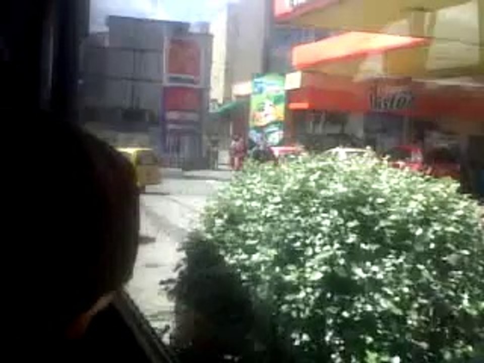 Paseando