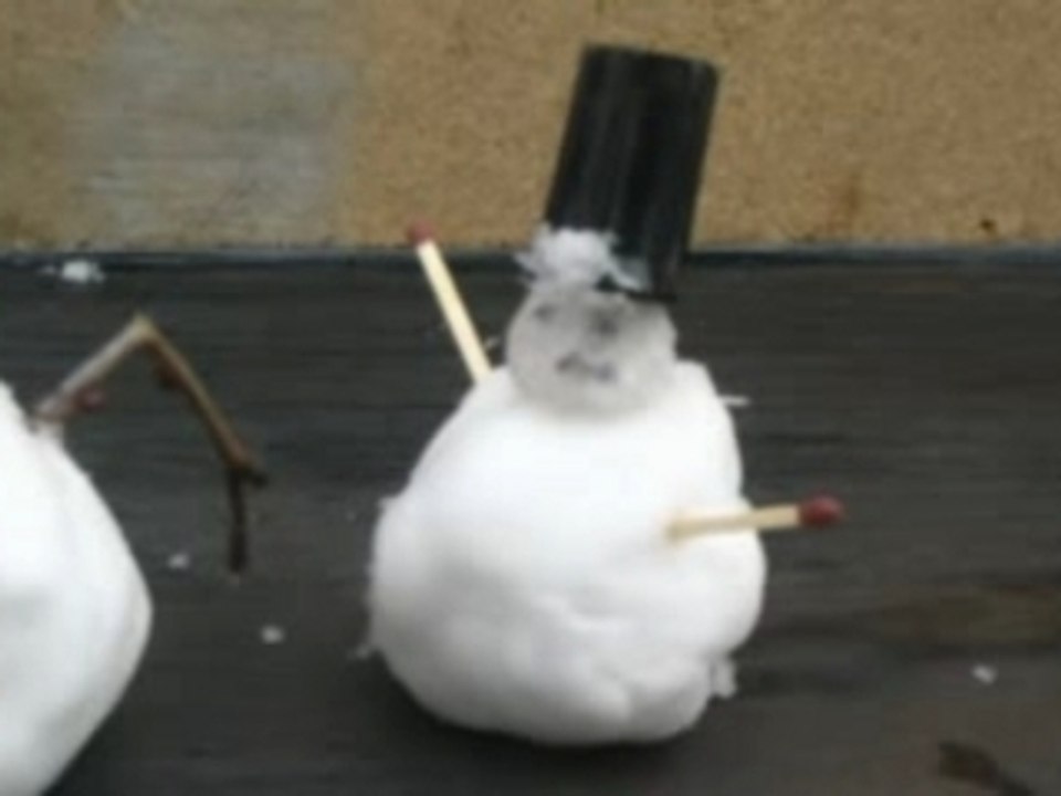 Skalpesenneige