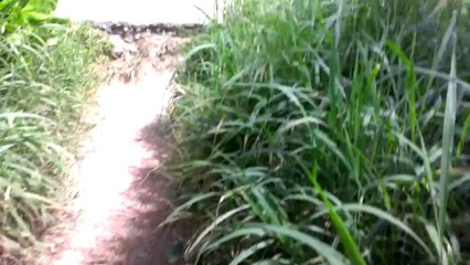 M13 on tour July 15th