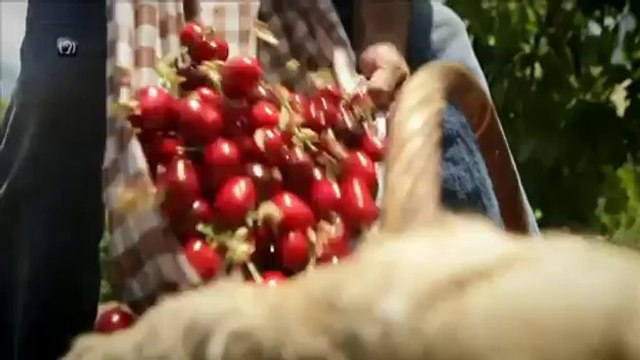 TV3 - COLLITA PROPIA DIMECRES - La fruita, a Collita pròpia