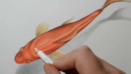 3D Art Drawing | Amazing Fun