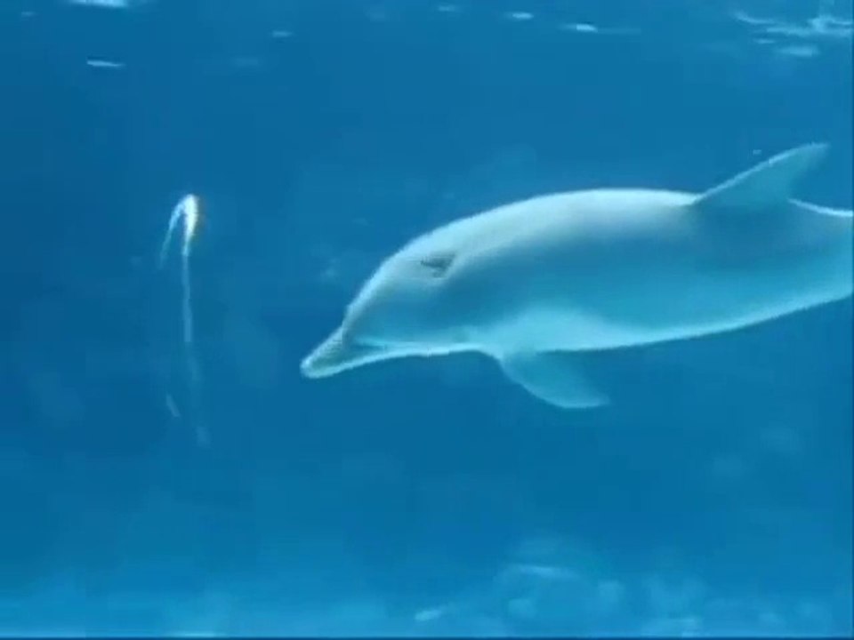 Çok çok güzel yaa..Kesinlikle izleyin!