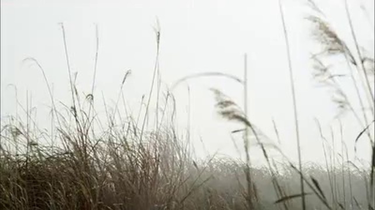 구리립카페2385 uhMART 유흥마트 넷은 동탄립카페 분당립카페β 수원립카페γ 시화립카페