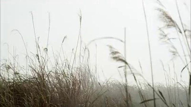 구리립카페2385 uhMART 유흥마트 넷은 동탄립카페 분당립카페β 수원립카페γ 시화립카페