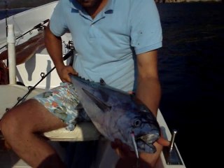 PALAMUT BEKLERKEN ORKINOS AVI SEVINC YARATTI - www.adrasanbalik.com