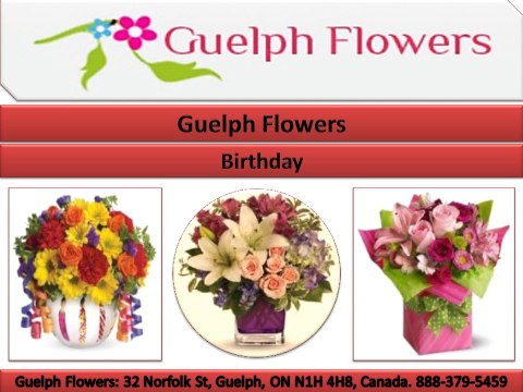 Guelph Flowers