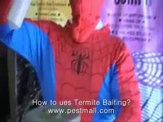 How to Get Rid of Termites