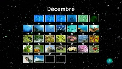 Universo: La escala de la vida