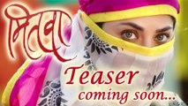 Mitwa Teaser To Release On This Weekend - Sonalee Kulkarni, Swapnil Joshi - Marathi Movie