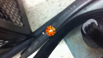 Gotta Get There From Here