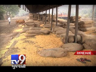 Food grain sacks left to rot in godown due to lack of storage, Ahmedabad - Tv9 Gujarati
