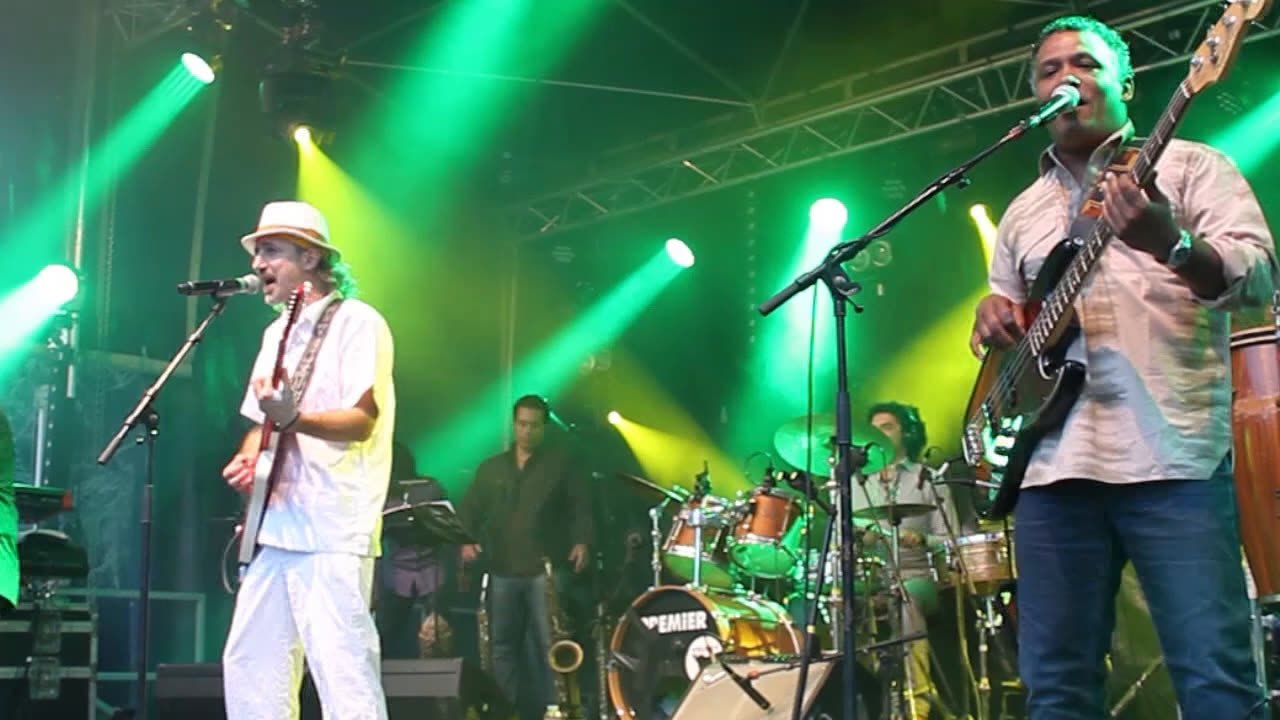 Heures Vagabondes 2014 : Sergent Garcia à Saint-Julien-L'Ars (86)