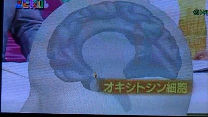 サイエンス・ゼロ　オキシトシン の持つ可能性　ＮＨＫ
