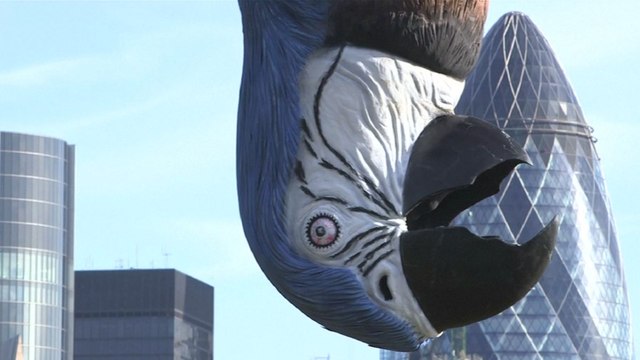 Un perroquet géant mort dans les rues de Londres