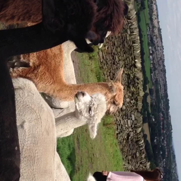 Mayfield one day trip