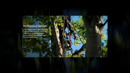 Grass Matters - Landscape Gardeners