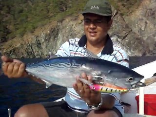 DIP SIRTISI ILE ORKINOS AVI - www.adrasanbalik.com