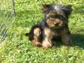 JOLIE MÔME le 16 07 2014