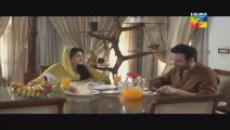 Bhool Eipsode 46 Hum Tv Drama 16 july 2014