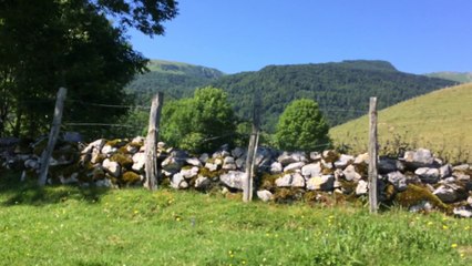 Vers la chevrerie plateau du benou vallée d ossau boucle du turon de tecouere