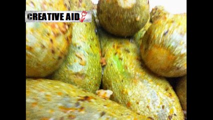 طريقة شهية لعمل محشي الكوسا