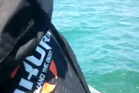 PECHE AU BAR PAR LE GOELAND 50 JO AVEC ROCKSWEEPER ABU GARCIA